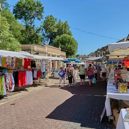 Cosy 2 Personnes Avec Balcon Et Parking, Animaux Admis - Fr-1-841-1 Cazaubon